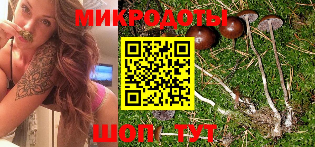 Псилоцибиновые грибы Cubensis  Галлюциногенные грибы ЛСД  Вход с VPN  Туапсе 