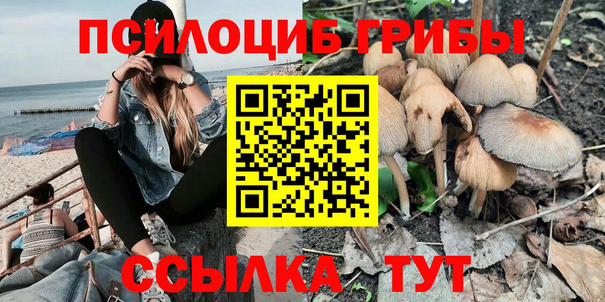 Галлюциногенные грибы MAGIC MUSHROOMS Туапсе